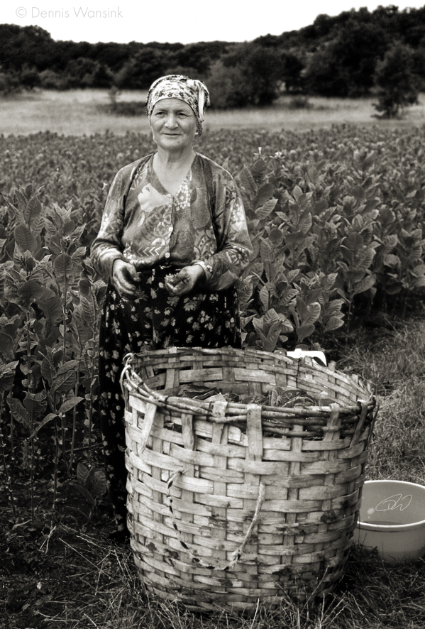 The farmer's wife (© Dennis Wansink)